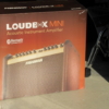 FISHMAN Loudbox Mini Bluetooth