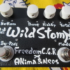 FREEDOM CUSTOM GUITAR RESEARCH Wild Stomp Black